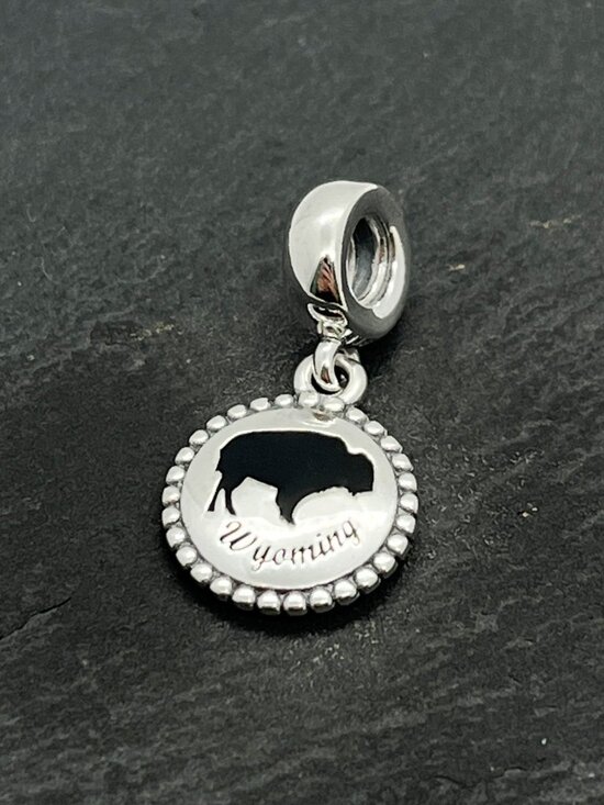 Pandora Jewelry - Pandora Wyoming Exclusive Charm Sterling Silver Dangle Charm Jewelry